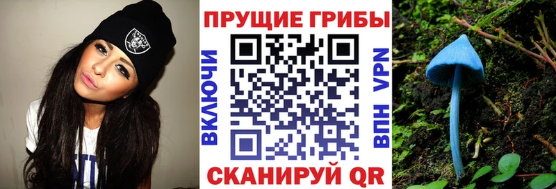 купить закладку  Талдом  Галлюциногенные грибы прущие грибы 